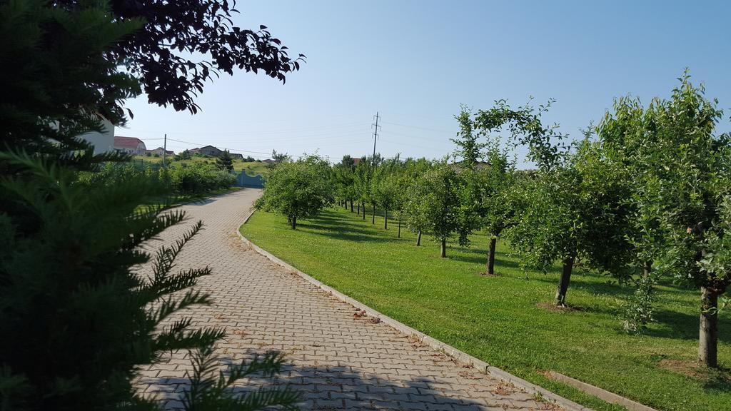 Vila Zorii Zilei 바일레펠릭스 객실 사진